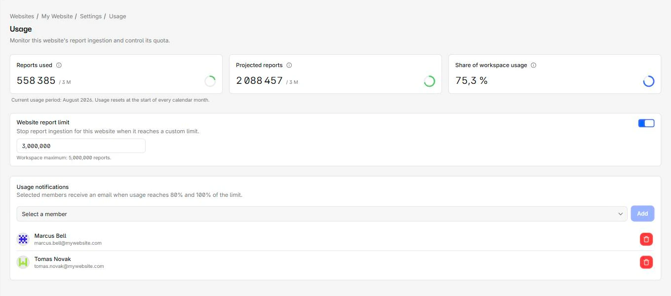 The website usage page showing reports used, a projection, and share of workspace usage